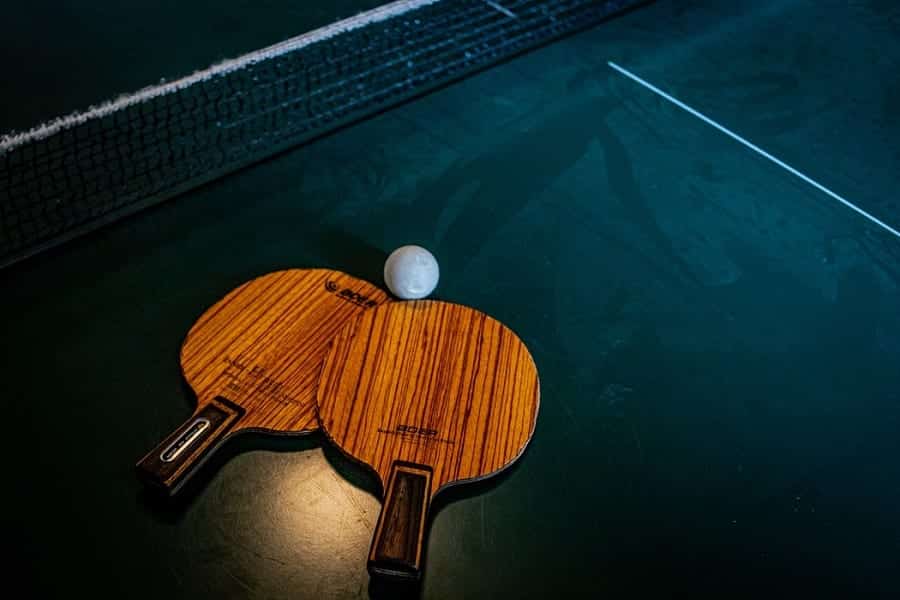 Best Professional Ping Pong Paddle